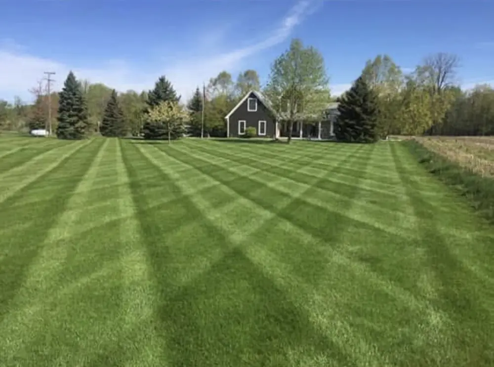 Freshly striped lawn in front of a home